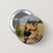 Schäferhund, der heraus Zunge haftet Button (Vorne & Hinten)