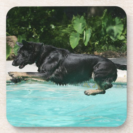 Schäferhund, der in Wasser springt Getränkeuntersetzer (Vorderseite)