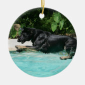 Schäferhund, der in Wasser springt Keramikornament (Vorne)