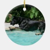 Schäferhund, der in Wasser springt Keramikornament (Hinten)