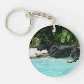 Schäferhund, der in Wasser springt Schlüsselanhänger (Vorderseite)