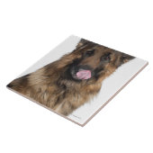 Schäferhund Fliese (Seite)