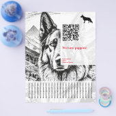 Schäferhund Flyer (Einzeln)