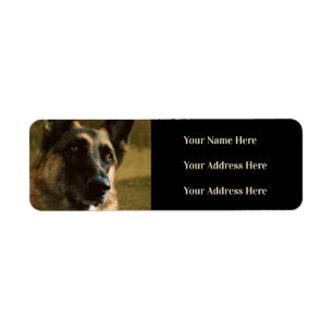 Schäferhund-Foto-Adressen-Etiketten