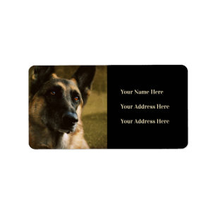 Schäferhund-Foto-Adressen-Etiketten Adressaufkleber