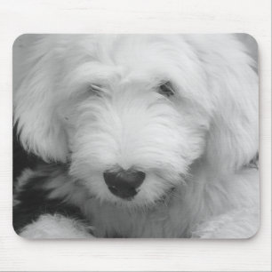Schäferhund-Foto-Mausunterlage Mousepad