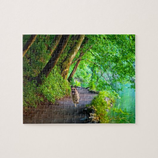 Schäferhund-Foto-Puzzlespiel mit Geschenkboxen Puzzle (Horizontal)