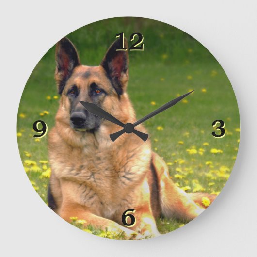 Schäferhund-Foto-Wand-Uhr Große Wanduhr (Vorderseite)