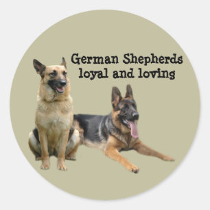 Schäferhund-Freund-Aufkleber Runder Aufkleber