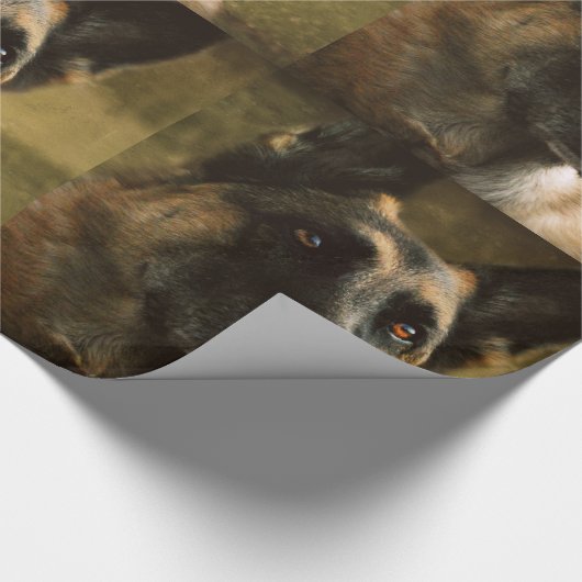 Schäferhund-Geschenk-Packpapier Geschenkpapier (Ecke)