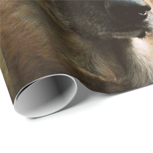 Schäferhund-Geschenk-Packpapier Geschenkpapier (Rolleneckpunkt)