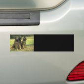 Schäferhund-Geschenke Autoaufkleber (Auf Auto)