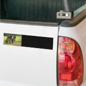 Schäferhund-Geschenke Autoaufkleber (Auf Lkw)