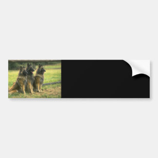 Schäferhund-Geschenke Autoaufkleber