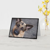 Schäferhund-Gruß-Karte Karte (Gelbe Blume)