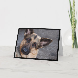 Schäferhund-Gruß-Karte Karte