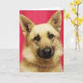 Schäferhund-Gruß-Karte Karte (Gelbe Blume)