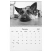Schäferhund- (GSD)Kalender Kalender (Feb 2027)
