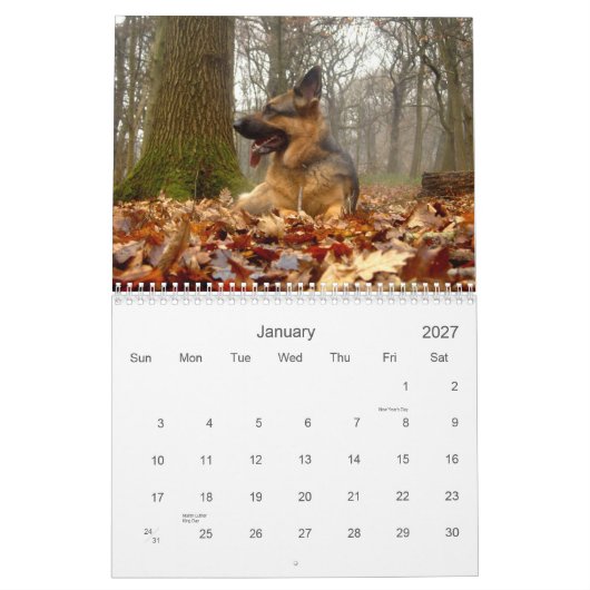 Schäferhund- (GSD)Kalender Kalender (Jan 2027)