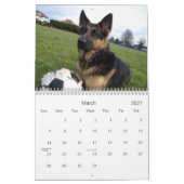 Schäferhund- (GSD)Kalender Kalender (Mär 2027)