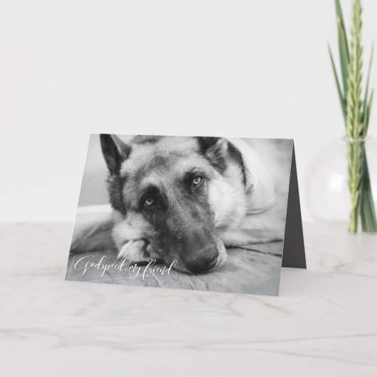 Schäferhund-Haustier-Verlust-Beileid Karte (Vorderseite)