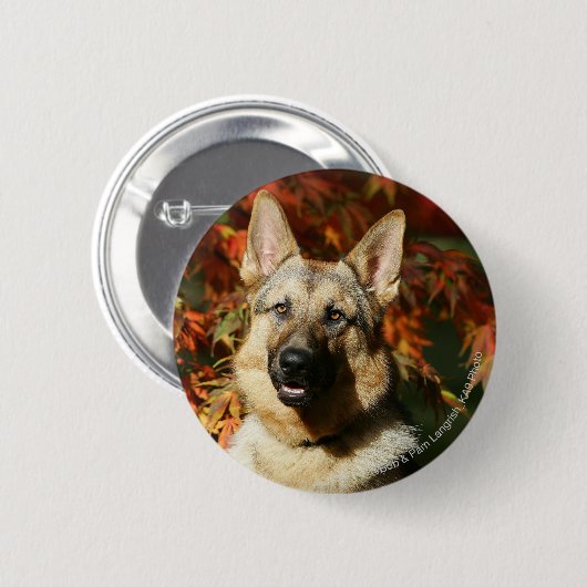 Schäferhund-Herbst-Blätter Button (Vorne & Hinten)