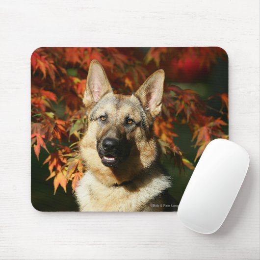 Schäferhund-Herbst-Blätter Mousepad (Mit Mouse)
