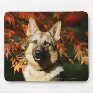 Schäferhund-Herbst-Blätter Mousepad