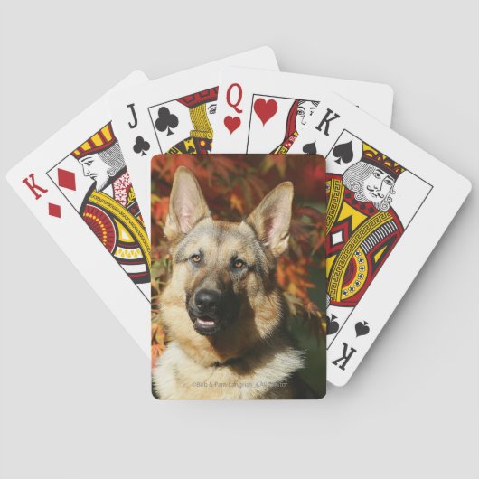 Schäferhund-Herbst-Blätter Spielkarten (Rückseite)