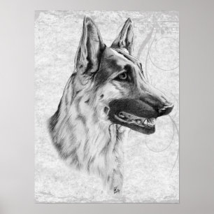 Schäferhund-Hund Poster