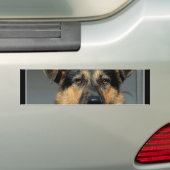 Schäferhund-HundeAutoaufkleber Autoaufkleber (Auf Auto)