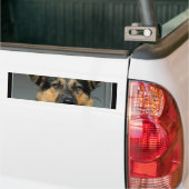 Schäferhund-HundeAutoaufkleber Autoaufkleber (Auf Lkw)