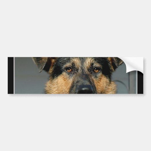 Schäferhund-HundeAutoaufkleber Autoaufkleber (Vorne)
