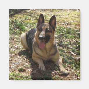 Schäferhund-Hundebild-Magnet Magnet