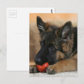 Schäferhund-Hundeentwurf Postkarte (Vorne/Hinten)