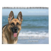 Schäferhund-Hundewandkalender Kalender (Titelbild)