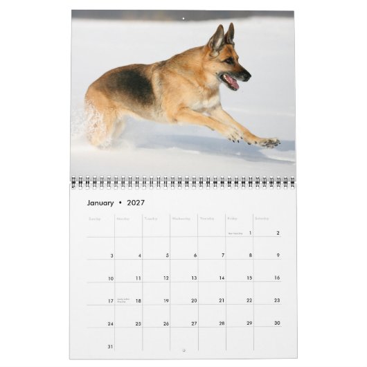 Schäferhund-Hundewandkalender Kalender (Jan 2027)