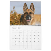 Schäferhund-Hundewandkalender Kalender (Feb 2027)