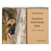 Schäferhund-Hundewandkalender Kalender (Titelbild)