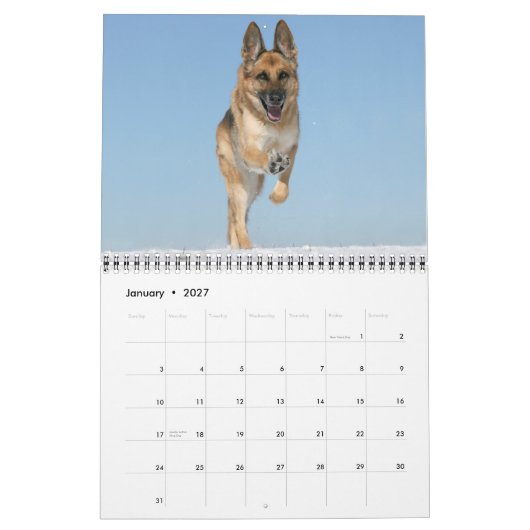 Schäferhund-Hundewandkalender Kalender (Jan 2027)