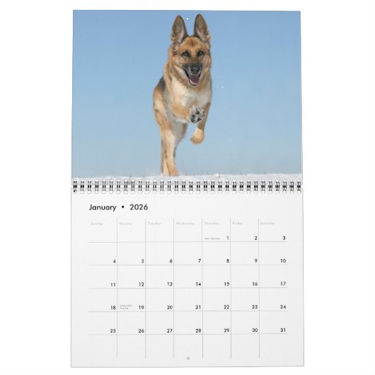 Schäferhund-Hundewandkalender Kalender (Jan 2026)