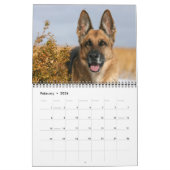 Schäferhund-Hundewandkalender Kalender (Feb 2026)