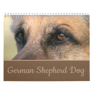 Schäferhund-Hundewandkalender Kalender