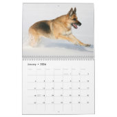 Schäferhund-Hundewandkalender Kalender (Jan 2026)