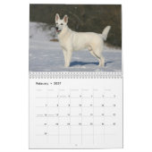 Schäferhund-Hundewandkalender Kalender (Feb 2027)