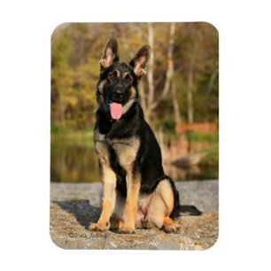 Schäferhund-Hundewelpenmagnet Magnet