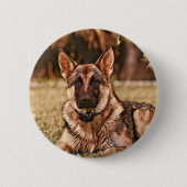 Schäferhund-HundHackibus Knopf Button (Vorderseite)