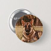 Schäferhund-HundHackibus Knopf Button (Vorne & Hinten)