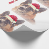 Schäferhund im geschenkpapier (Ecke)