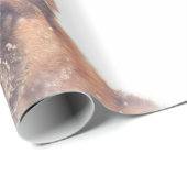 Schäferhund im geschenkpapier (Rolleneckpunkt)